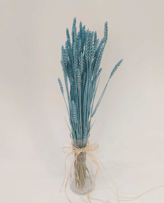 Dried Light Blue Wheat Bunch