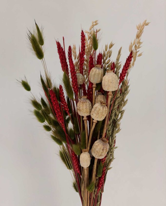 Dried Flowers Red Natural Mix Bouquet