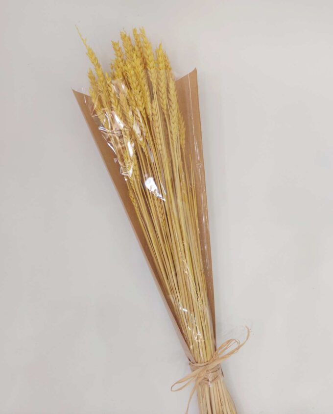 Dried Bright Yellow Wheat Bunch