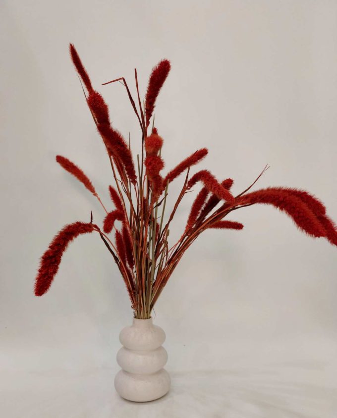 Dried Setaria in Vase White Ceramic "Loop"