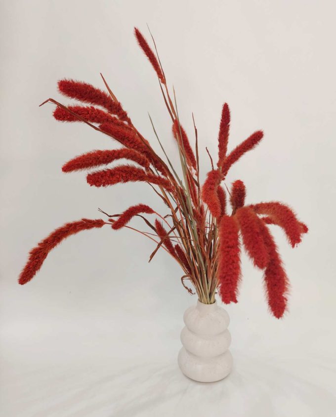 Dried Setaria in Vase White Ceramic "Loop"