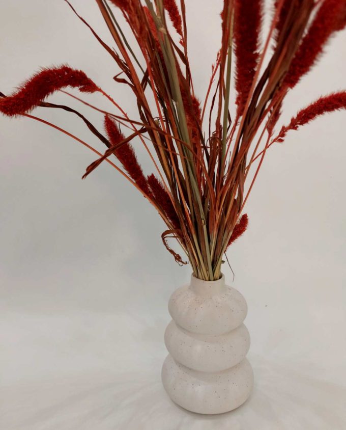 Dried Setaria in Vase White Ceramic "Loop"