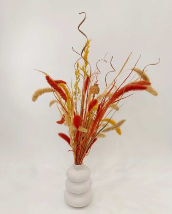 Dried Setaria in Vase White Ceramic "Loop"