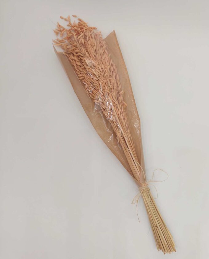 Dried Coral Oats Bunch