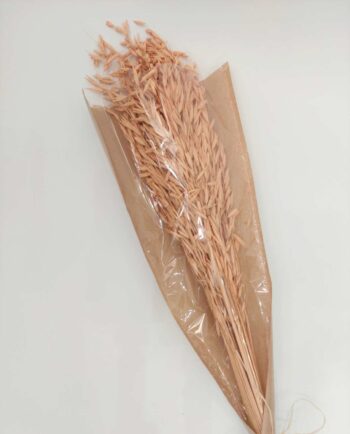 Dried Coral Oats Bunch