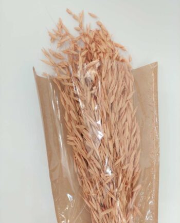 Dried Coral Oats Bunch