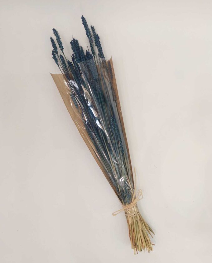 Dried Blue Wheat Bunch