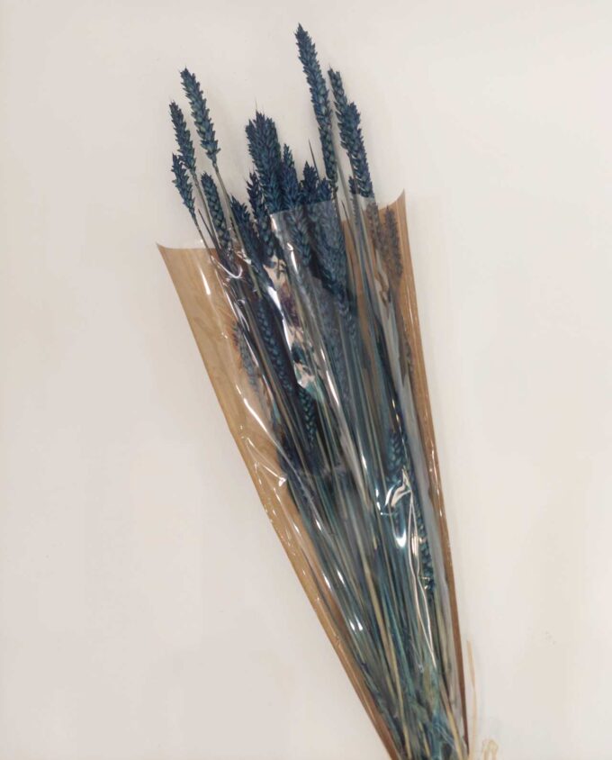 Dried Blue Wheat Bunch