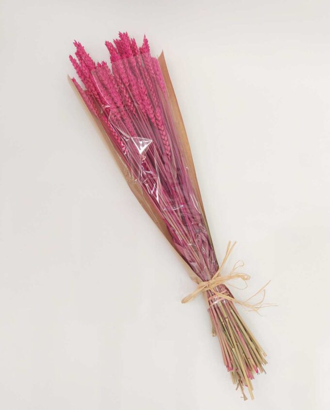 Dried Fuchsia Wheat Bunch