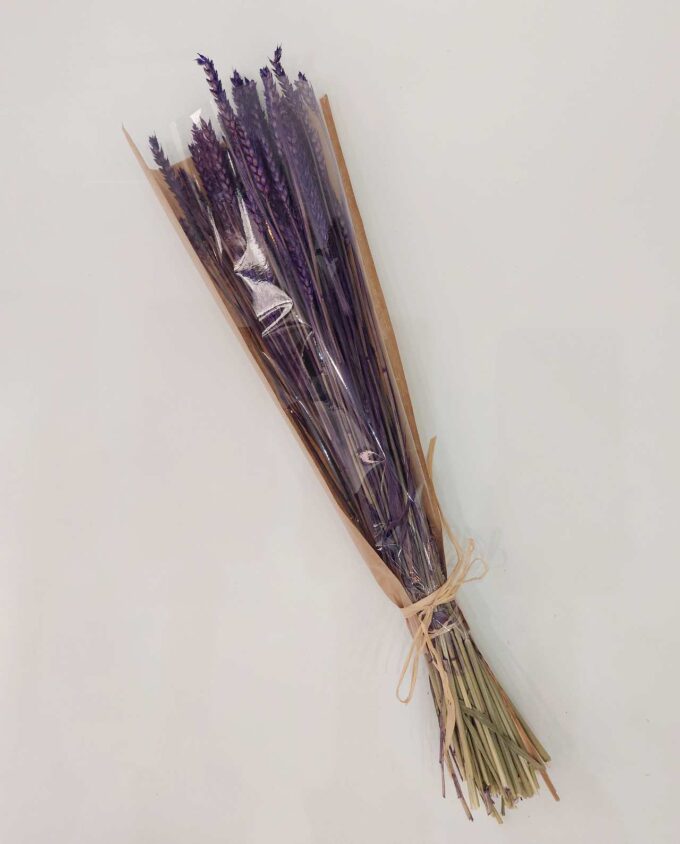 Dried Purple Wheat Bunch