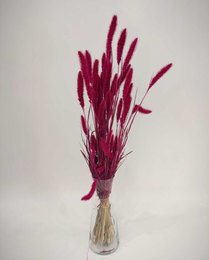 Dried Orange Fuchsia Bunch