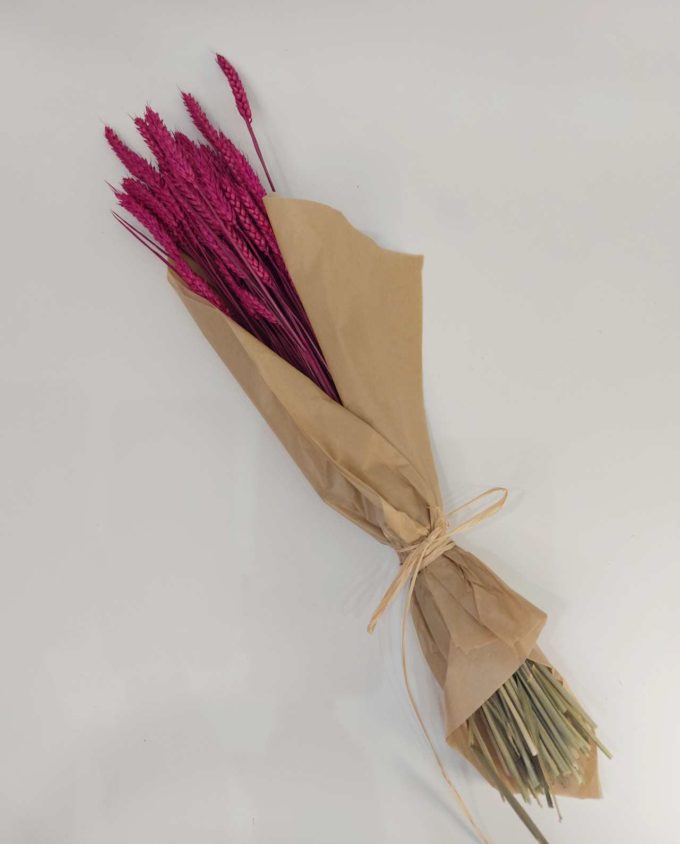 Dried Fuchsia Wheat Bunch