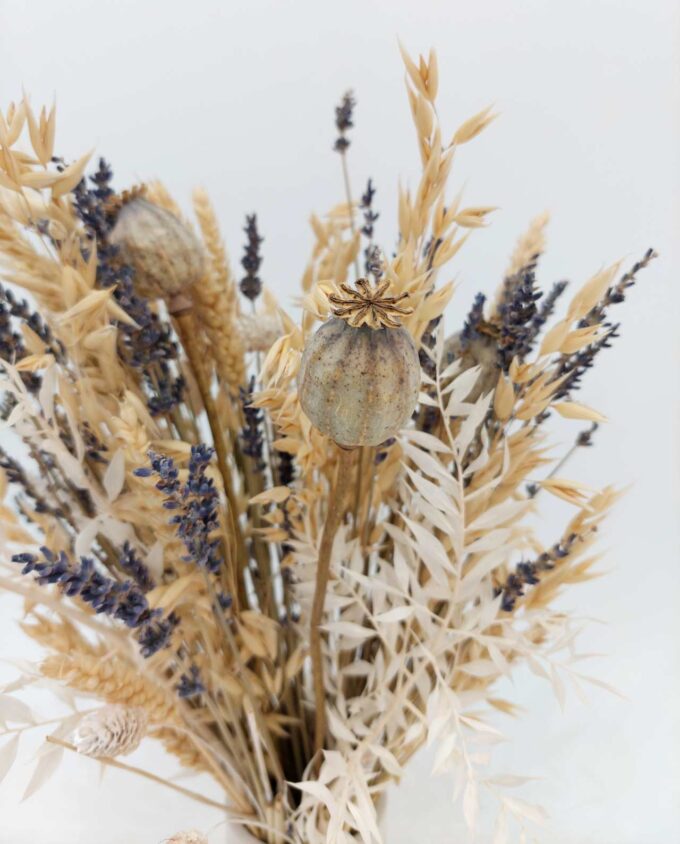 Dried Flowers White Arrangement Height. 40 cm