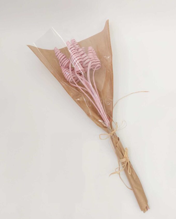 Dried Light Pink Ting-Ting Bunch