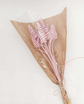 Dried Light Pink Ting-Ting Bunch