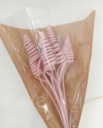 Dried Light Pink Ting-Ting Bunch