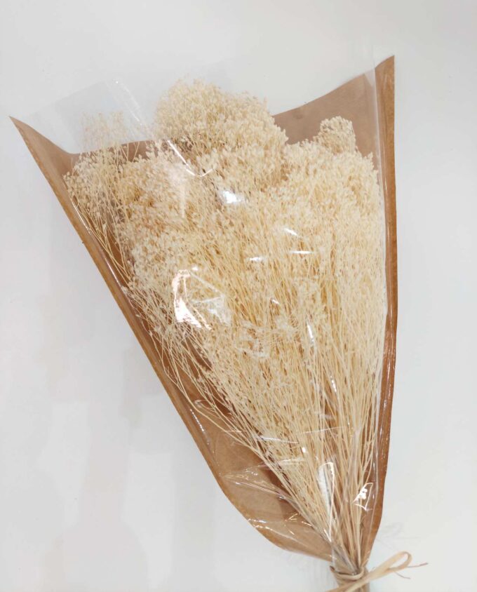Dried White Bloom Bloom Bunch