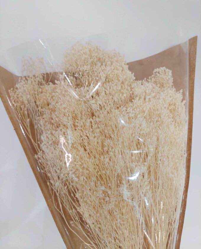 Dried White Bloom Bloom Bunch