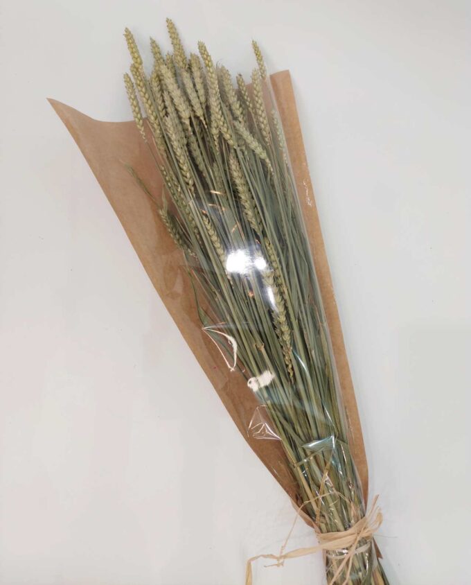 Dried Natural Wheat Bunch