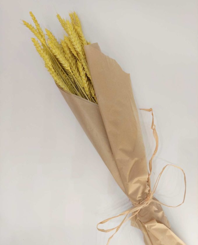 Dried Bright Yellow Wheat Bunch