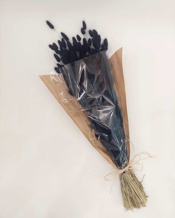 Dried Dark Blue Lagurus Bunch