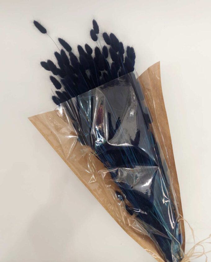 Dried Dark Blue Lagurus Bunch