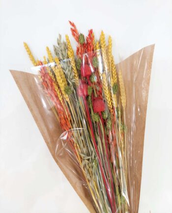 Bouquet Mix Dried Natural Flowers