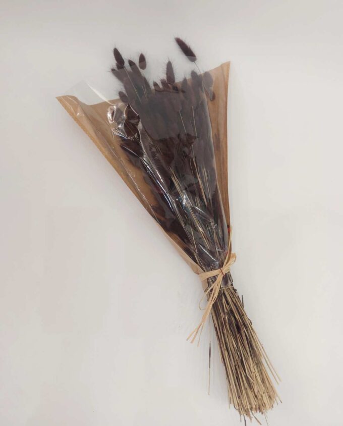 Dried Brown Lagurus Bunch