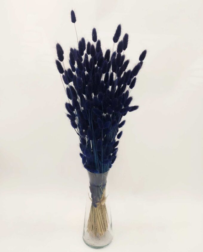 Dried Dark Blue Lagurus Bunch