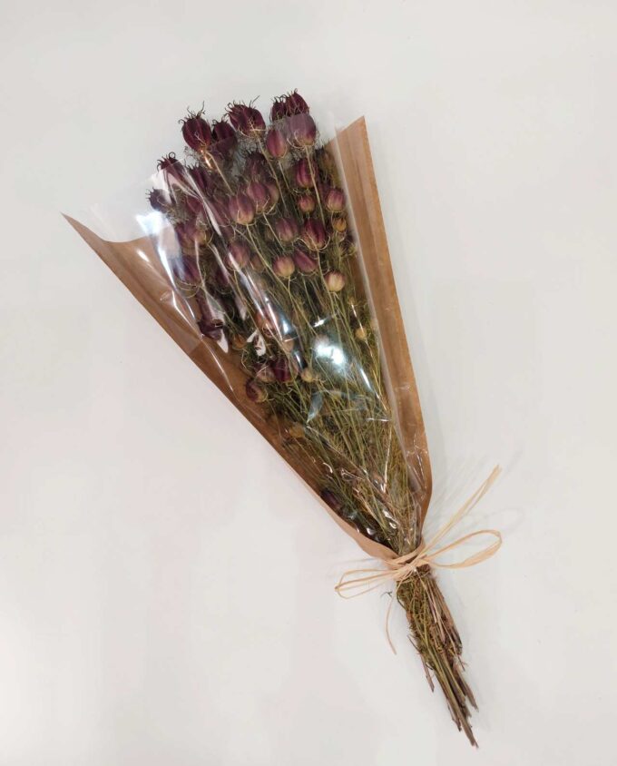 Dried Nigella Natural Purple Bunch