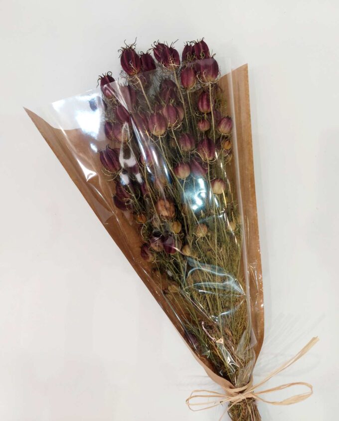 Dried Nigella Natural Purple Bunch