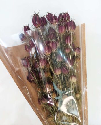 Dried Nigella Natural Purple Bunch