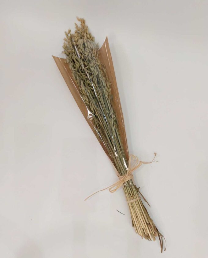 Dried Natural Green Oats Bunch