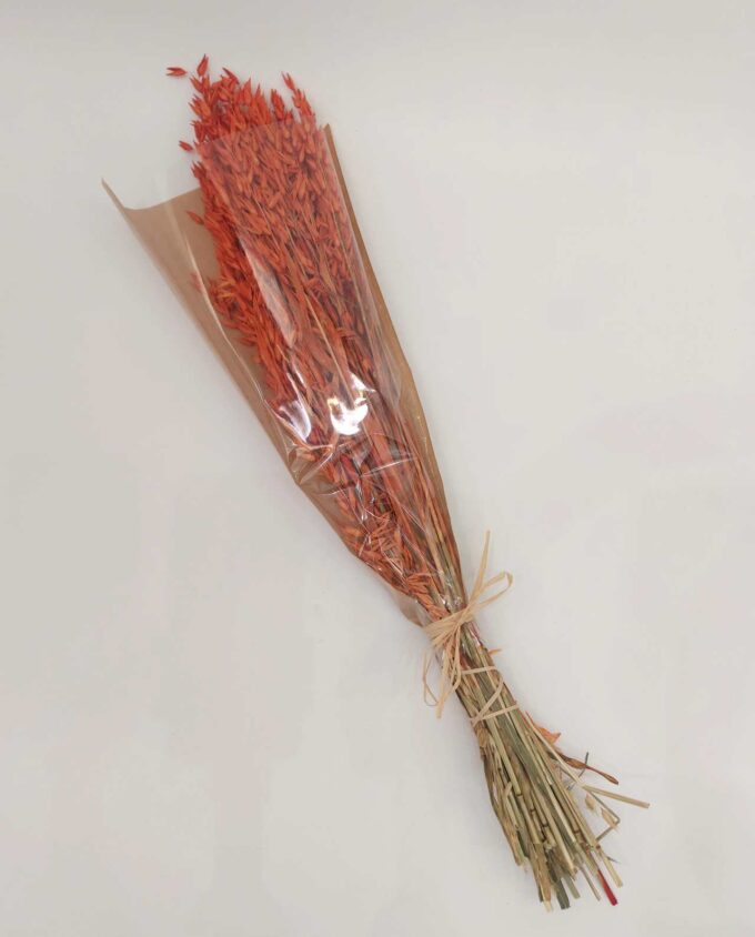 Dried Orange Oats Bunch