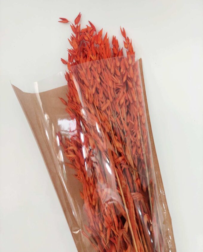Dried Orange Oats Bunch