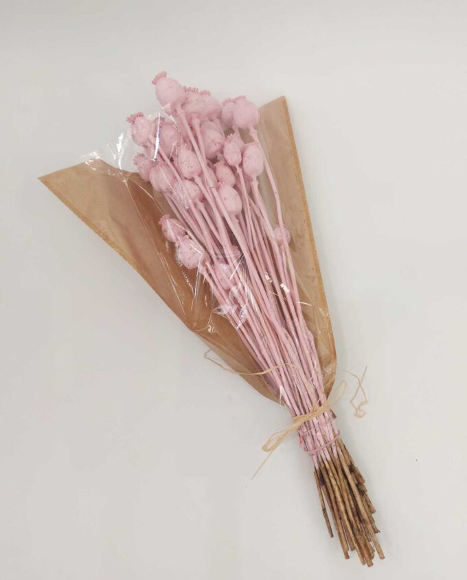 Dried Light Pink Papaver Bunch