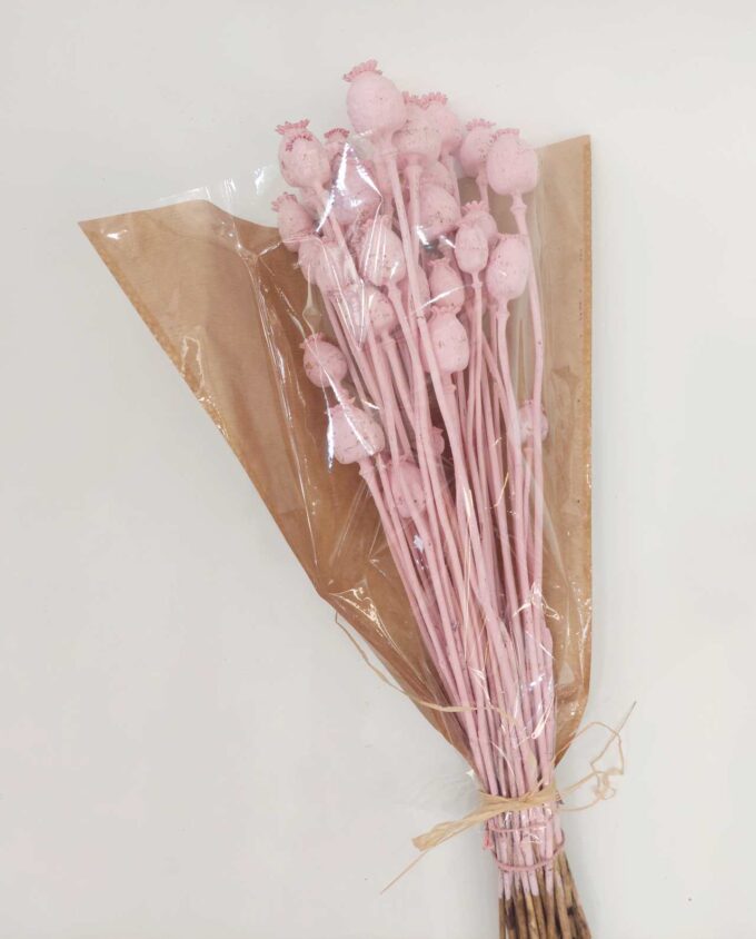Dried Light Pink Papaver Bunch