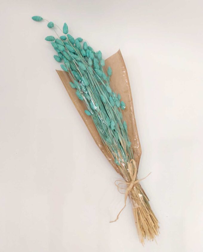 Dried Turquiose Phalaris Bunch