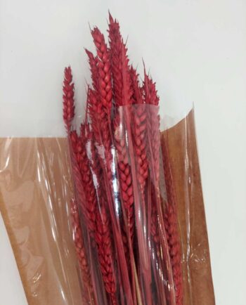 Dried Red Wheat Bunch