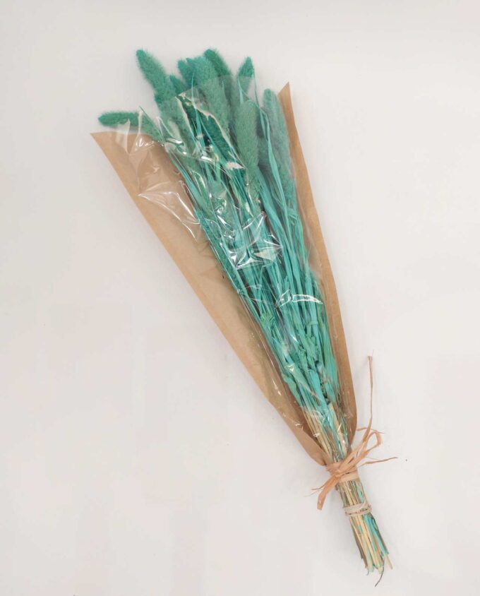 Dried Turquoise Setaria Bunch