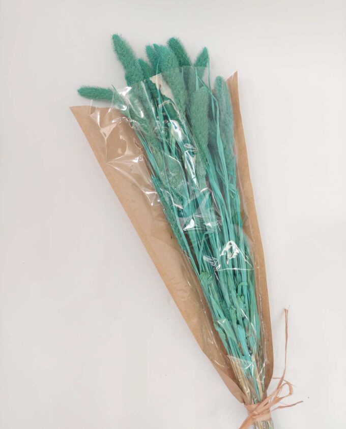 Dried Turquoise Setaria Bunch