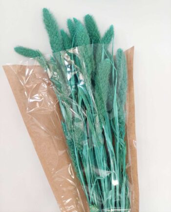 Dried Turquoise Setaria Bunch
