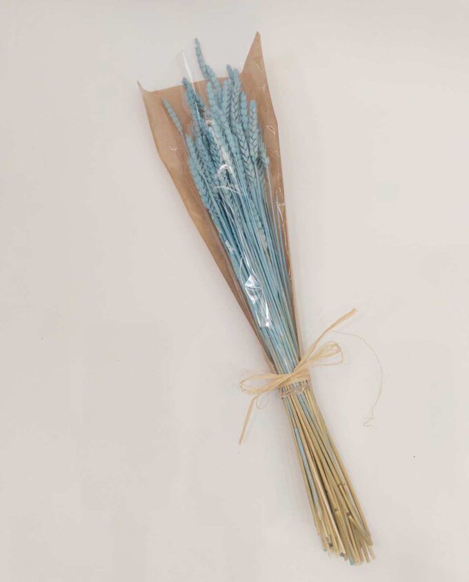 Dried Light Blue Wheat Bunch