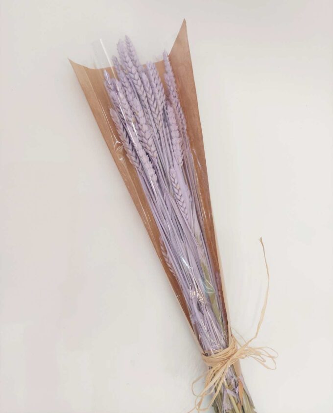 Dried Lilac Wheat Bunch