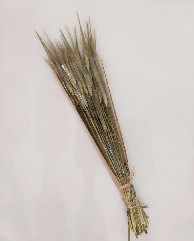 Dried Natural Long Wheat Bunch