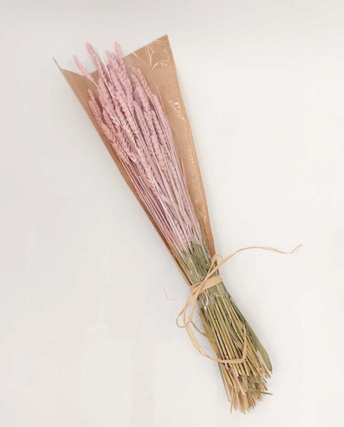 Dried Light Pink Wheat Bunch