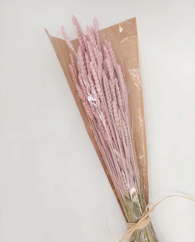 Dried Light Pink Wheat Bunch