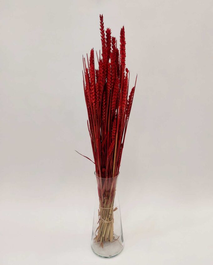 Dried Red Wheat Bunch