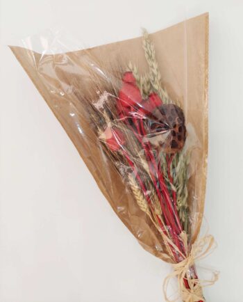 Dried Flowers Natural Red Mix Bouquet