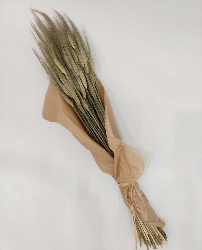 Dried Natural Long Wheat Bunch